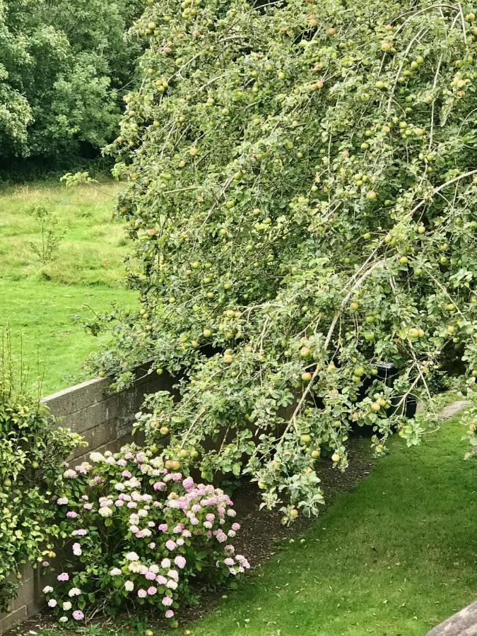Fox View Guesthouse Bristol Kültér fotó